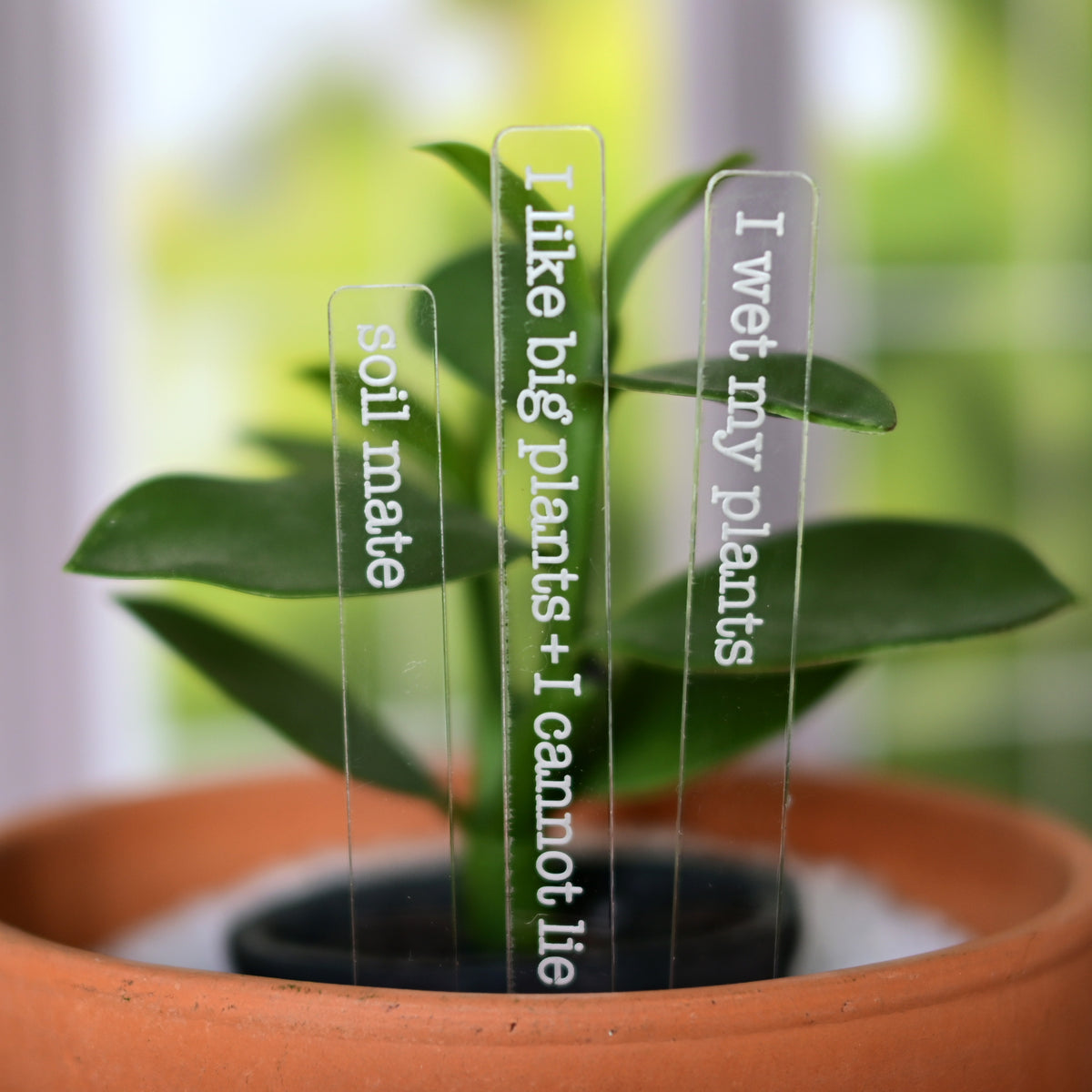 Punny Plant Markers Set of 3 Plant Stakes - Plant Lover