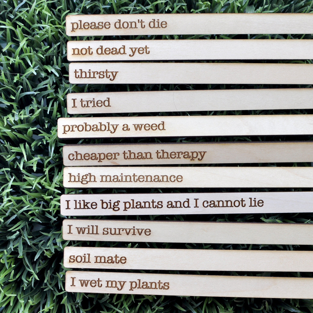 funny quotes about plants Plant Markers With Pun Phrases
