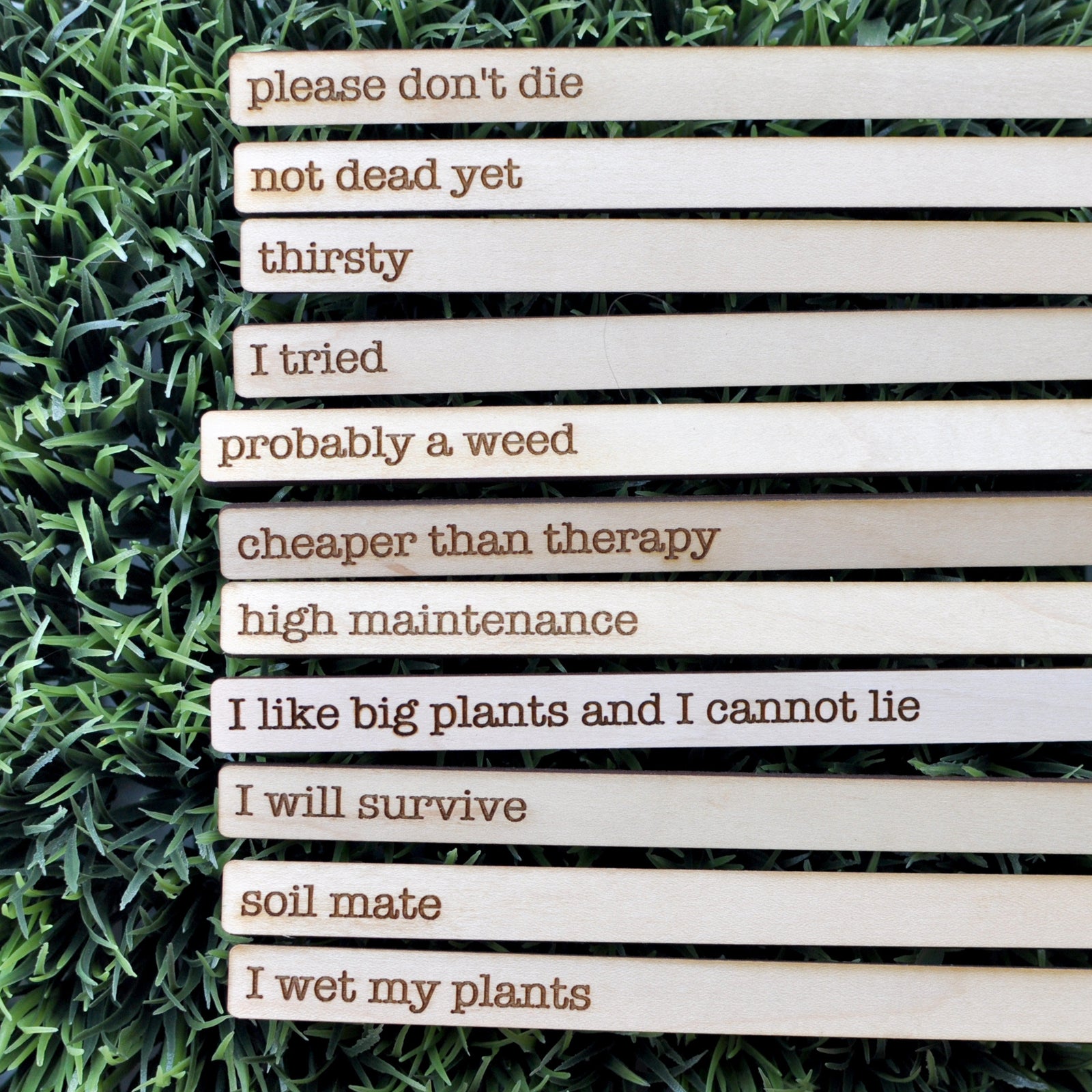 Plant Stakes Engraved With Funny Phrases