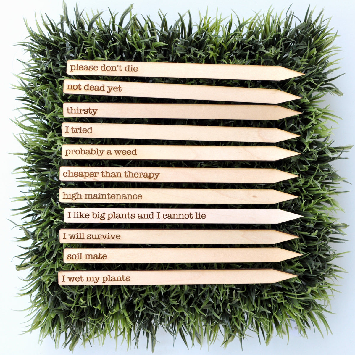 Plant Stakes Engraved With Funny Phrases